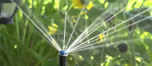 sprinkler image